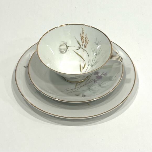 Hutschenreuther Selb Bavaria Germany Fine China TeaCup With Saucer & Salad Plate - Picture 1 of 9